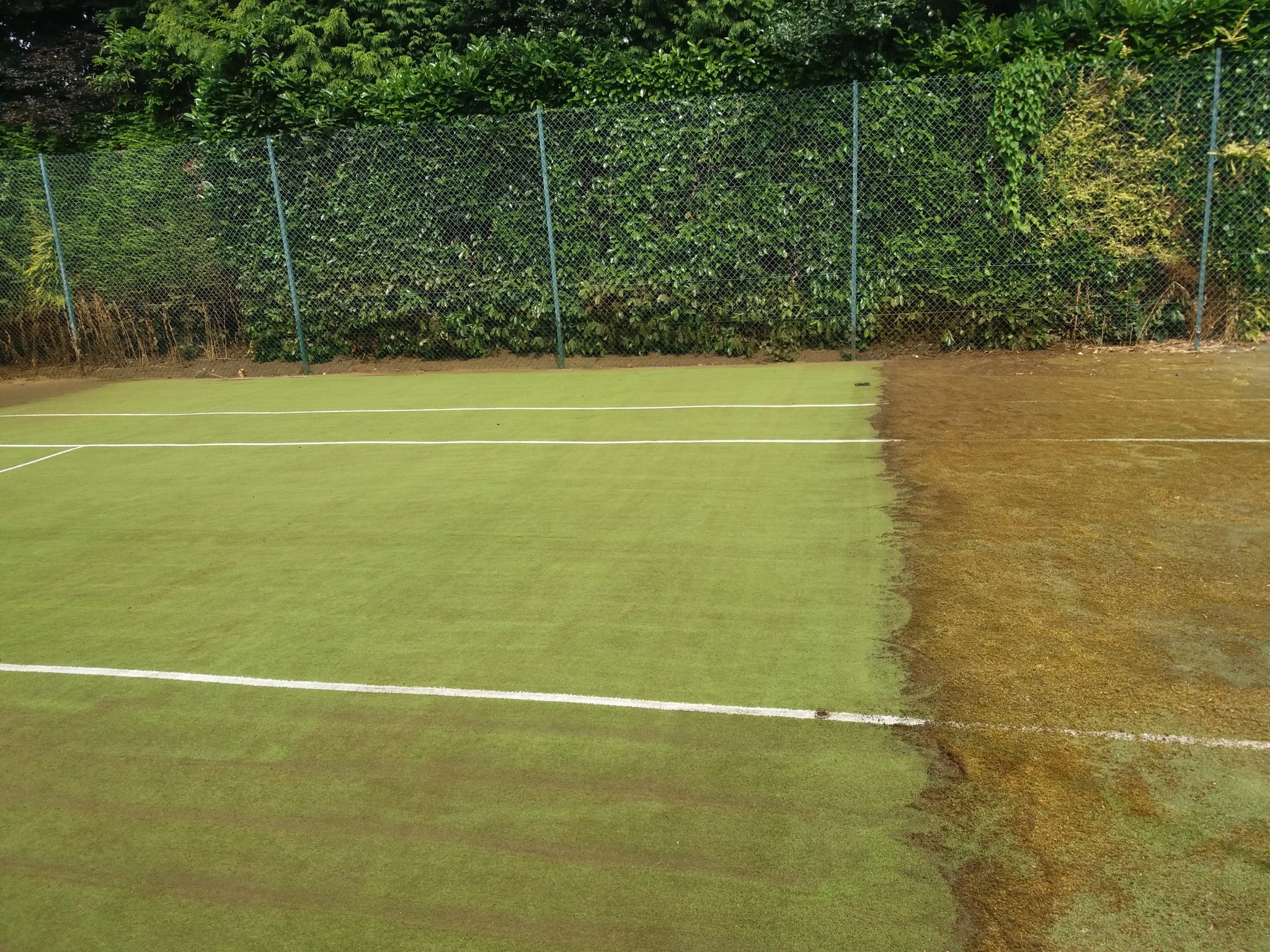 Tennis Court Maintenance in Stamford Artificial & Synthetic Grass